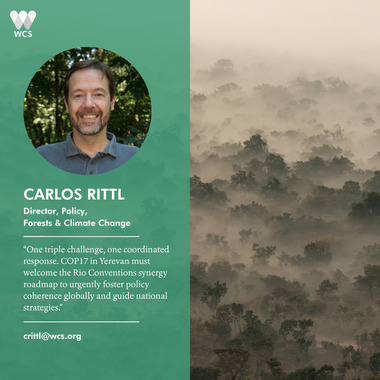 WCS CBD COP17 Quote Cards - Carlos Rittl